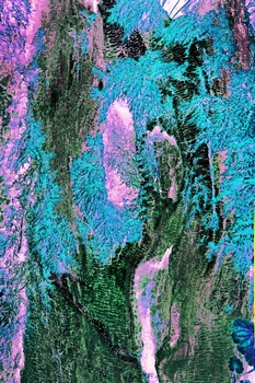N 135C